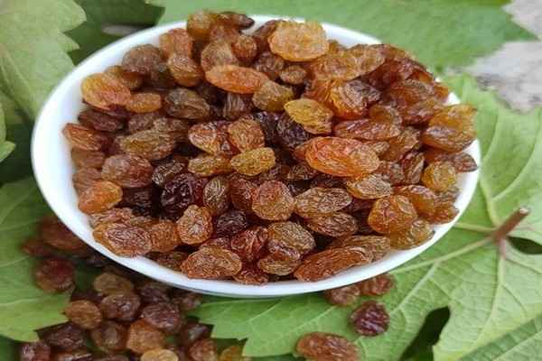 خرید کشمش تیزابی + قیمت عالی باکیفیت